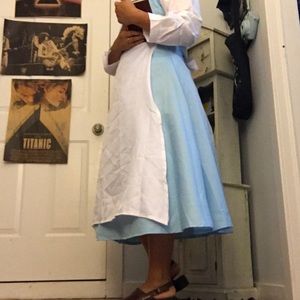 Disney Belle costume